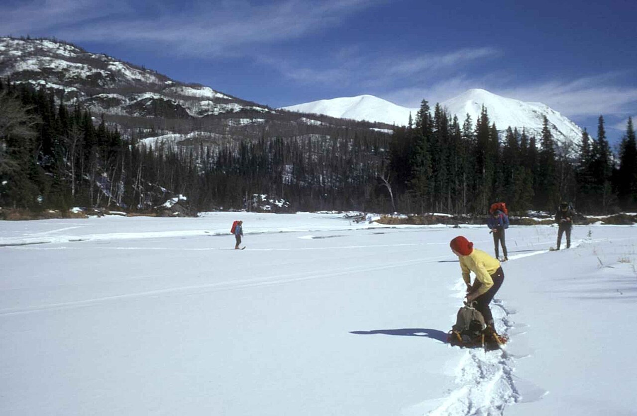 People walking through a snowy landscape on snowshoes