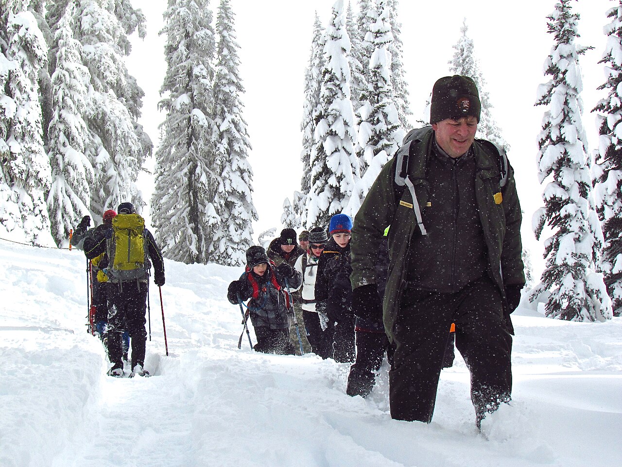 A ranger leading visitors on snowshoes through a snowy forest at Mount Rainier National Park