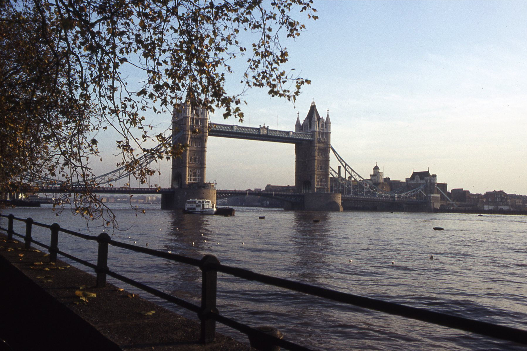 Tower Bridge and the River Thames beneath a pale winter sky