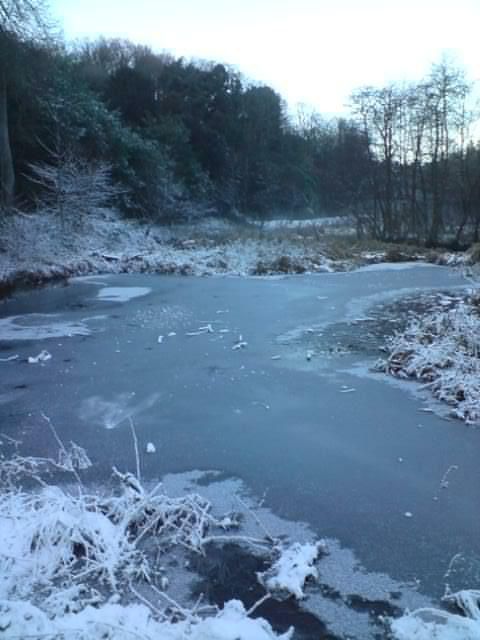 A frozen lake in winter with an icy surface