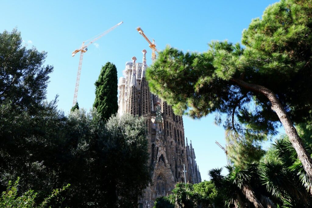 Colorful stained glass and branching columns inside Sagrada Família