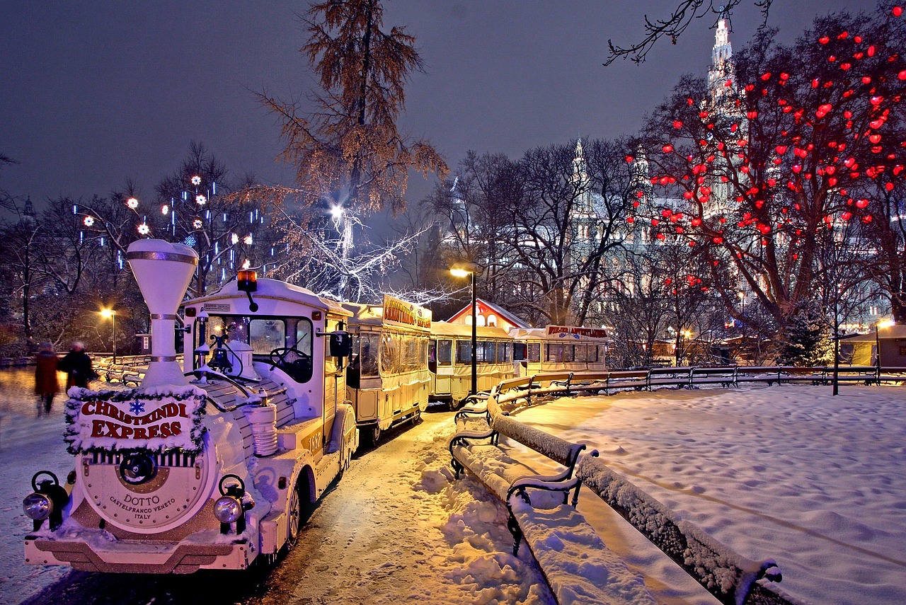 Festive lights and winter scenery at Vienna's City Hall park